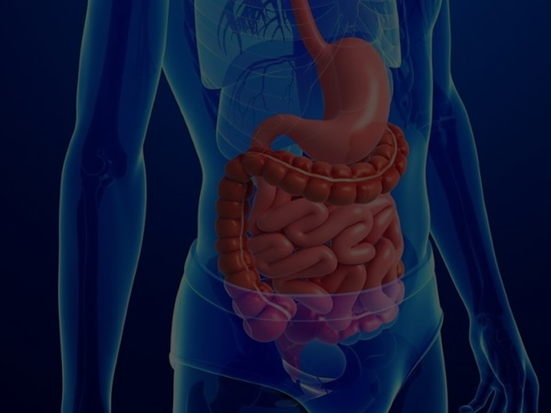 CẢI THIỆN HỆ TIÊU HÓA VƯỢT TRỘI